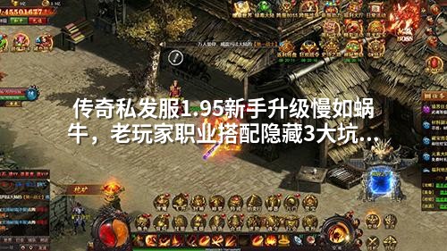 传奇私发服1.95新手升级慢如蜗牛，老玩家职业搭配隐藏3大坑！