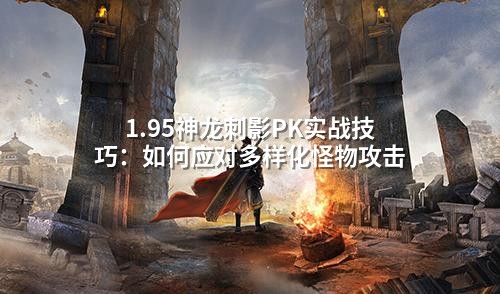 1.95神龙刺影PK实战技巧：如何应对多样化怪物攻击