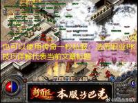  传奇一秒私服：法师职业PK技巧详解